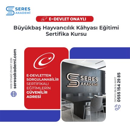 Büyükbaş Hayvancılık Kâhyası Eğitimi Sertifika Kursu