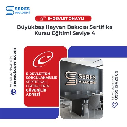 Büyükbaş Hayvan Bakıcısı Sertifika Kursu Eğitimi Seviye 4
